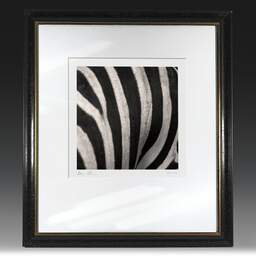 Art and collection photography Denis Olivier, Any Colour You Like II, Palmyre Zoo, France. July 2005. Ref-718 - Denis Olivier Photography, original fine-art photograph in limited edition and signed in black and gold wood frame