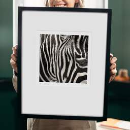 Art and collection photography Denis Olivier, Any Colour You Like, Palmyre Zoo, France. July 2005. Ref-697 - Denis Olivier Art Photography, original 9 x 9 inches fine-art photograph print in limited edition and signed hold by a galerist woman