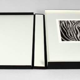 Art and collection photography Denis Olivier, Any Colour You Like, Palmyre Zoo, France. July 2005. Ref-697 - Denis Olivier Photography, photograph with matte folding in a luxury book presentation box