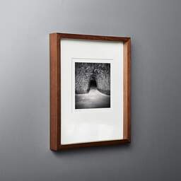 Art and collection photography Denis Olivier, Bamboo Tunnel, Royan, France. November 2021. Ref-11519 - Denis Olivier Art Photography, original fine-art photograph in limited edition and signed in dark wood frame