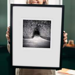 Art and collection photography Denis Olivier, Bamboo Tunnel, Royan, France. November 2021. Ref-11519 - Denis Olivier Photography, original 9 x 9 inches fine-art photograph print in limited edition and signed hold by a galerist woman