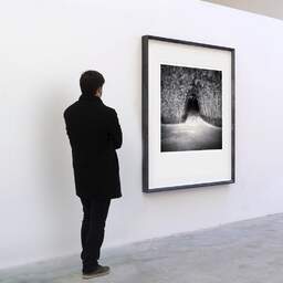 Art and collection photography Denis Olivier, Bamboo Tunnel, Royan, France. November 2021. Ref-11519 - Denis Olivier Art Photography, A visitor contemplate a large original photographic art print in limited edition and signed in a black frame