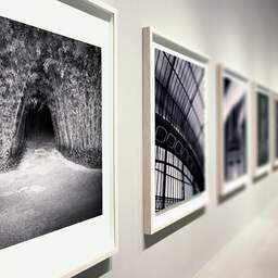 Art and collection photography Denis Olivier, Bamboo Tunnel, Royan, France. November 2021. Ref-11519 - Denis Olivier Art Photography, Large original photographic art print in limited edition and signed during an exhibition