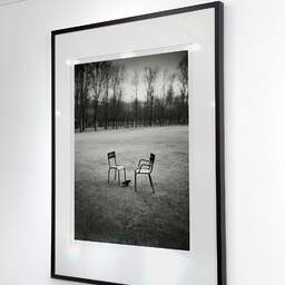 Art and collection photography Denis Olivier, Bird And Chairs, Tuileries Garden, Paris, France. February 2023. Ref-11670 - Denis Olivier Art Photography, Exhibition of a large original photographic art print in limited edition and signed
