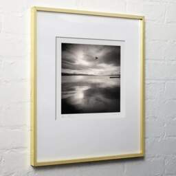 Art and collection photography Denis Olivier, Bird Passing By, New Zealand. July 2018. Ref-1363 - Denis Olivier Photography, light wood frame on white wall
