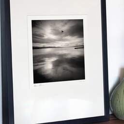 Art and collection photography Denis Olivier, Bird Passing By, New Zealand. July 2018. Ref-1363 - Denis Olivier Photography, gallery exhibition with black frame