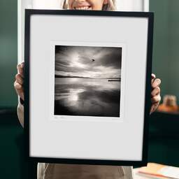 Art and collection photography Denis Olivier, Bird Passing By, New Zealand. July 2018. Ref-1363 - Denis Olivier Photography, original 9 x 9 inches fine-art photograph print in limited edition and signed hold by a galerist woman