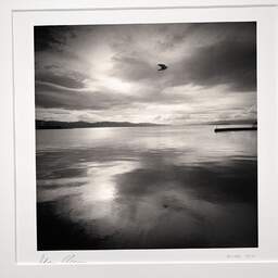 Art and collection photography Denis Olivier, Bird Passing By, New Zealand. July 2018. Ref-1363 - Denis Olivier Photography, original photographic print in limited edition and signed, framed under cardboard mat