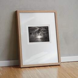 Art and collection photography Denis Olivier, Blossac Park, Poitiers, France. January 1990. Ref-80 - Denis Olivier Photography, original fine-art photograph in limited edition and signed in light wood frame