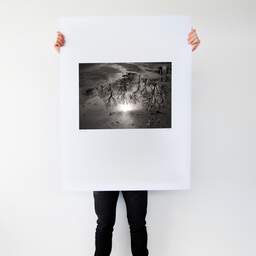 Art and collection photography Denis Olivier, Blossac Park, Poitiers, France. January 1990. Ref-80 - Denis Olivier Art Photography, Large original photographic art print in limited edition and signed tenu par un homme