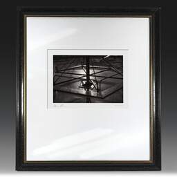 Art and collection photography Denis Olivier, Blossac Park, Poitiers, France. January 1990. Ref-89 - Denis Olivier Photography, original fine-art photograph in limited edition and signed in black and gold wood frame