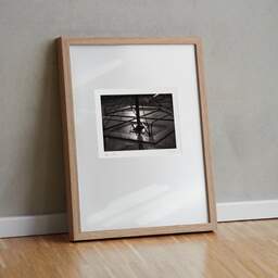 Art and collection photography Denis Olivier, Blossac Park, Poitiers, France. January 1990. Ref-89 - Denis Olivier Photography, original fine-art photograph in limited edition and signed in light wood frame