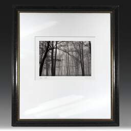 Art and collection photography Denis Olivier, Bois De La Marche, Poitiers, France. 0000. Ref-104 - Denis Olivier Photography, original fine-art photograph in limited edition and signed in black and gold wood frame