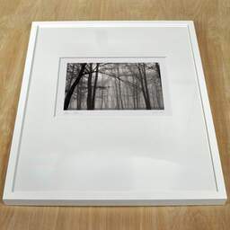Art and collection photography Denis Olivier, Bois De La Marche, Poitiers, France. 0000. Ref-104 - Denis Olivier Photography, white frame on a wooden table