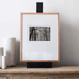 Art and collection photography Denis Olivier, Bois De La Marche, Poitiers, France. 0000. Ref-104 - Denis Olivier Photography, gallery exhibition with black frame