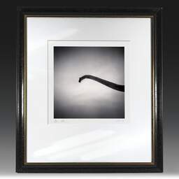 Art and collection photography Denis Olivier, Brachiosaurus, Royan, France. November 2021. Ref-11517 - Denis Olivier Art Photography, original fine-art photograph in limited edition and signed in black and gold wood frame