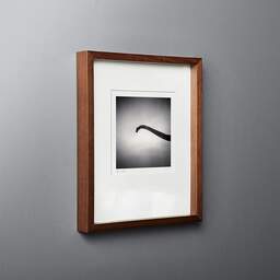 Art and collection photography Denis Olivier, Brachiosaurus, Royan, France. November 2021. Ref-11517 - Denis Olivier Art Photography, original fine-art photograph in limited edition and signed in dark wood frame