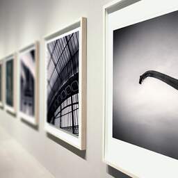 Art and collection photography Denis Olivier, Brachiosaurus, Royan, France. November 2021. Ref-11517 - Denis Olivier Art Photography, Large original photographic art print in limited edition and signed during an exhibition