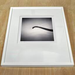 Art and collection photography Denis Olivier, Brachiosaurus, Royan, France. November 2021. Ref-11517 - Denis Olivier Photography, white frame on a wooden table