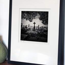 Art and collection photography Denis Olivier, Crosses Under The Trees, Chartreuse Cemetery, Bordeaux, France. April 2021. Ref-1426 - Denis Olivier Photography, gallery exhibition with black frame