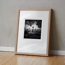 Art and collection photography Denis Olivier, Crosses Under The Trees, Chartreuse Cemetery, Bordeaux, France. April 2021. Ref-1426 - Denis Olivier Photography, original fine-art photograph in limited edition and signed in light wood frame