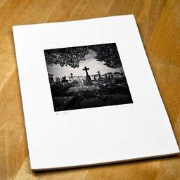 Art and collection photography Denis Olivier, Crosses Under The Trees, Chartreuse Cemetery, Bordeaux, France. April 2021. Ref-1426 - Denis Olivier Photography, original fine-art photograph print in limited edition and signed