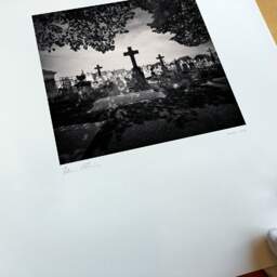 Art and collection photography Denis Olivier, Crosses Under The Trees, Chartreuse Cemetery, Bordeaux, France. April 2021. Ref-1426 - Denis Olivier Photography, original fine-art photograph print in limited edition and signed