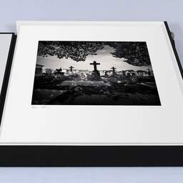 Art and collection photography Denis Olivier, Crosses Under The Trees, Chartreuse Cemetery, Bordeaux, France. April 2021. Ref-1426 - Denis Olivier Photography, large original 15.7 x 15.7 inches fine-art photograph print in limited edition, Leica M7 film 24x36 camera