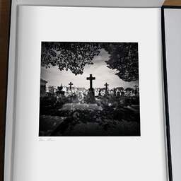 Art and collection photography Denis Olivier, Crosses Under The Trees, Chartreuse Cemetery, Bordeaux, France. April 2021. Ref-1426 - Denis Olivier Photography, original photographic print in limited edition and signed, framed under cardboard mat