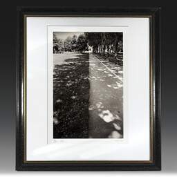 Art and collection photography Denis Olivier, Crossing, Landscape Park, Saint-Nazaire. July 2020. Ref-1350 - Denis Olivier Photography, original fine-art photograph in limited edition and signed in black and gold wood frame