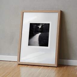 Art and collection photography Denis Olivier, Curved Path, Plaisance-du-Touch, France. June 2021. Ref-11463 - Denis Olivier Photography, original fine-art photograph in limited edition and signed in light wood frame