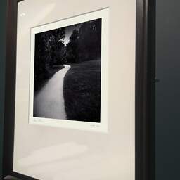 Art and collection photography Denis Olivier, Curved Path, Plaisance-du-Touch, France. June 2021. Ref-11463 - Denis Olivier Art Photography, brown wood old frame on dark gray background