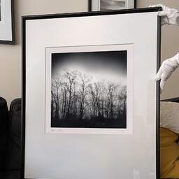 Art and collection photography Denis Olivier, Dark Trees, Parc Bordelais, Bordeaux, France. December 2020. Ref-1400 - Denis Olivier Photography, large original 9 x 9 inches fine-art photograph print in limited edition and signed hold by a galerist woman