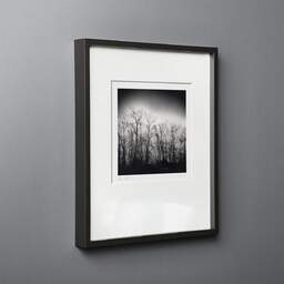 Art and collection photography Denis Olivier, Dark Trees, Parc Bordelais, Bordeaux, France. December 2020. Ref-1400 - Denis Olivier Photography, black wood frame on gray background