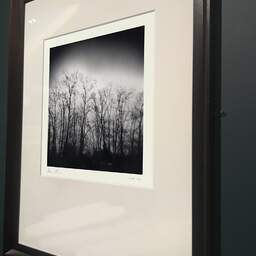 Art and collection photography Denis Olivier, Dark Trees, Parc Bordelais, Bordeaux, France. December 2020. Ref-1400 - Denis Olivier Photography, brown wood old frame on dark gray background