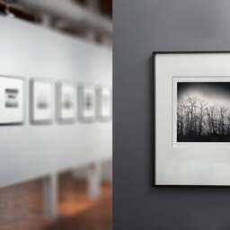 Art and collection photography Denis Olivier, Dark Trees, Parc Bordelais, Bordeaux, France. December 2020. Ref-1400 - Denis Olivier Photography, gallery exhibition with black frame