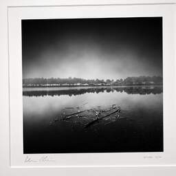 Art and collection photography Denis Olivier, Dead Branches, Hourtin Lake, France. January 2007. Ref-1195 - Denis Olivier Photography, original photographic print in limited edition and signed, framed under cardboard mat