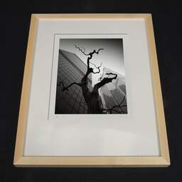 Art and collection photography Denis Olivier, Dead Tree, The City, London, England. August 2022. Ref-11633 - Denis Olivier Photography, light wood frame on dark background