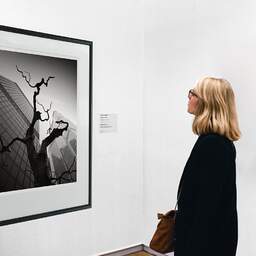 Art and collection photography Denis Olivier, Dead Tree, The City, London, England. August 2022. Ref-11633 - Denis Olivier Art Photography, A woman contemplate a large original photographic art print in limited edition and signed in a black frame