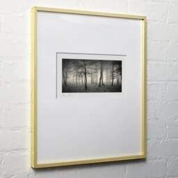 Art and collection photography Denis Olivier, Delusion Of Divine, Bois De La Marche, France. January 1991. Ref-1145 - Denis Olivier Photography, light wood frame on white wall