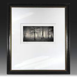 Art and collection photography Denis Olivier, Delusion Of Divine, Bois De La Marche, France. January 1991. Ref-1145 - Denis Olivier Photography, original fine-art photograph in limited edition and signed in black and gold wood frame