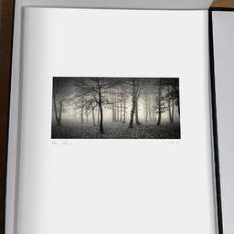 Art and collection photography Denis Olivier, Delusion Of Divine, Bois De La Marche, France. January 1991. Ref-1145 - Denis Olivier Photography, original photographic print in limited edition and signed, framed under cardboard mat
