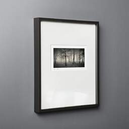 Art and collection photography Denis Olivier, Delusion Of Divine, Bois De La Marche, France. January 1991. Ref-1145 - Denis Olivier Photography, black wood frame on gray background