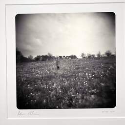 Art and collection photography Denis Olivier, Dorian Standings In The Field, Coperit, France. April 2007. Ref-1077 - Denis Olivier Photography, original photographic print in limited edition and signed, framed under cardboard mat