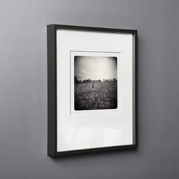 Art and collection photography Denis Olivier, Dorian Standings In The Field, Coperit, France. April 2007. Ref-1077 - Denis Olivier Photography, black wood frame on gray background