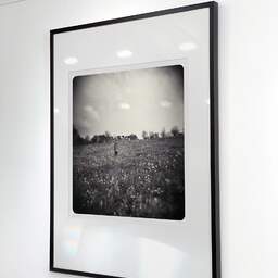 Art and collection photography Denis Olivier, Dorian Standings In The Field, Coperit, France. April 2007. Ref-1077 - Denis Olivier Art Photography, Exhibition of a large original photographic art print in limited edition and signed