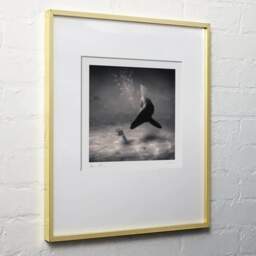 Art and collection photography Denis Olivier, Dreamspace Reloaded, Etude 23. May 2008. Ref-1174 - Denis Olivier Art Photography, light wood frame on white wall