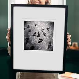 Art and collection photography Denis Olivier, Eating Birds, Parc Bordelais, Bordeaux, France. July 2021. Ref-11472 - Denis Olivier Photography, original 9 x 9 inches fine-art photograph print in limited edition and signed hold by a galerist woman