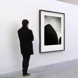 Art and collection photography Denis Olivier, Eiffel Tower, Invalides Garden, Paris, France. February 2023. Ref-11676 - Denis Olivier Art Photography, A visitor contemplate a large original photographic art print in limited edition and signed in a black frame