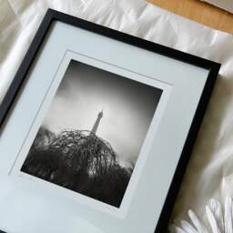 Art and collection photography Denis Olivier, Eiffel Tower, Park And Gardens, Paris, France. February 2023. Ref-11678 - Denis Olivier Art Photography, reception and unpacking of an original fine-art photograph in limited edition and signed in a black wooden frame